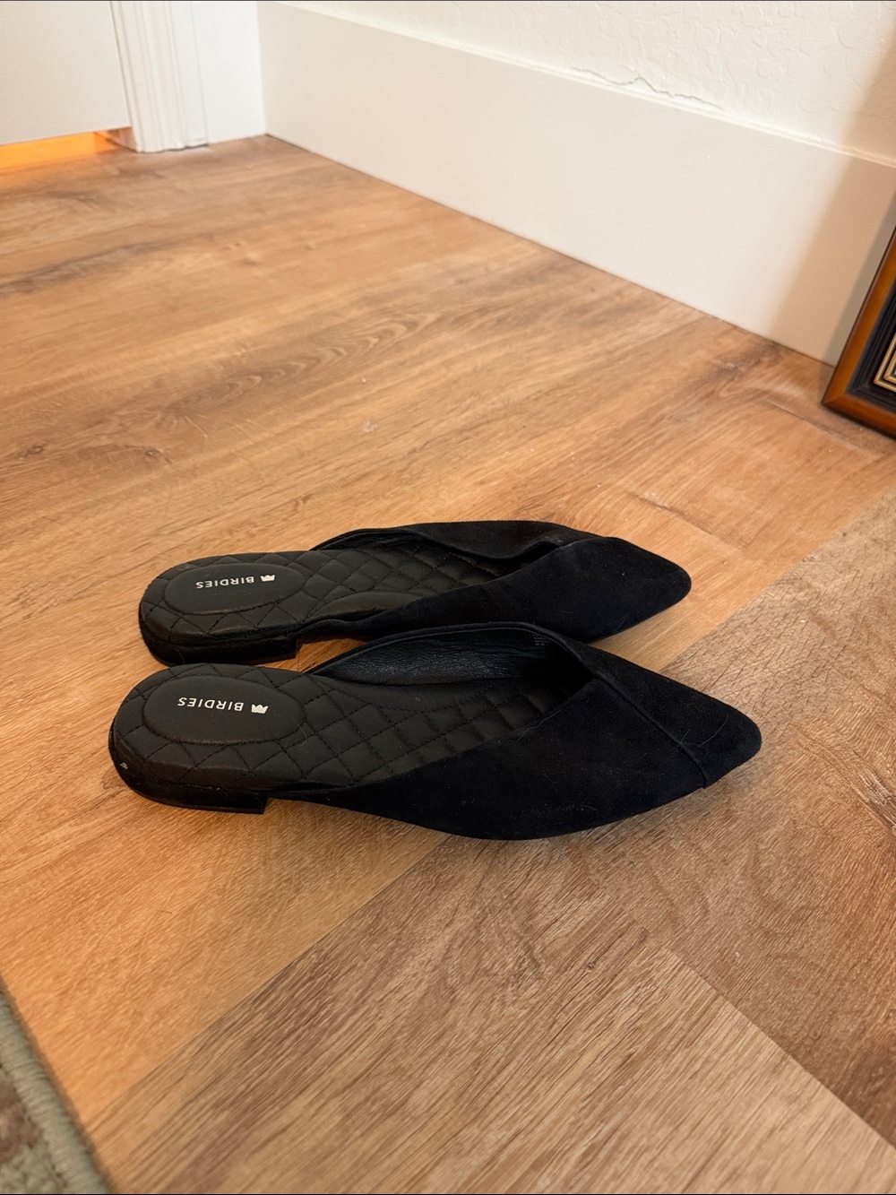Birdies Black Pointed Slip-On Quilted-Insole Mules